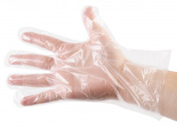 Одноразовые пластиковые перчатки (100 шт.)