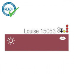 NPM pigmentas 15053 Louise  (12ml)