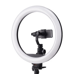 R-1948B Led Ring Light 19inc 60w, with battery, Black